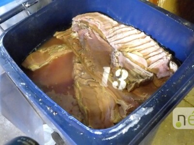 Ilegalna mađarska klaonica