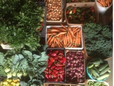 Proizvode 50 vrsta povrća