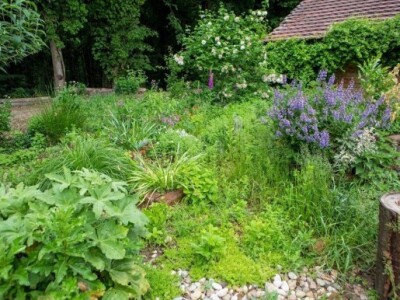 Okućnica je idealna za cvijeće i začinsko bilje