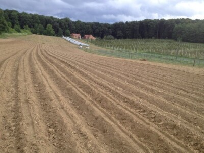 Željko zemlju ne ore nego podriva