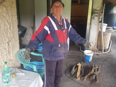 Zasad breskve kod Ilije Mijatovića Zasad breskve kod Ilije Mijatovića