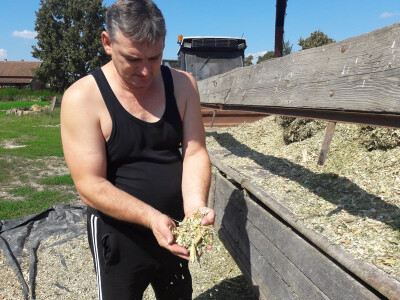 Nenad Iljazović pokazuje vlastitu silažu Nenad Iljazović pokazuje vlastitu silažu