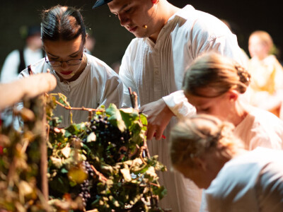 Iločka berba grožđa