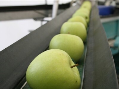 6. Znanstveno-stručno savjetovanje hrvatskih voćara