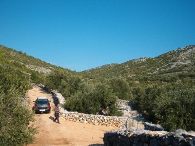 Teren na kojem se nalazi maslinik je kršovit i za 70 novih sadnica koje je posadio trebalo je praviti rupe eksplozivom