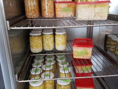 IMA LI KOZARSTVO ŠANSU U PODRINJU?