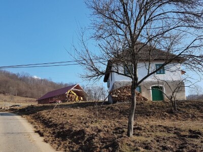 IMA LI KOZARSTVO ŠANSU U PODRINJU?