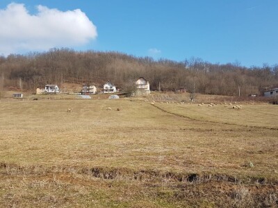 IMA LI KOZARSTVO ŠANSU U PODRINJU?