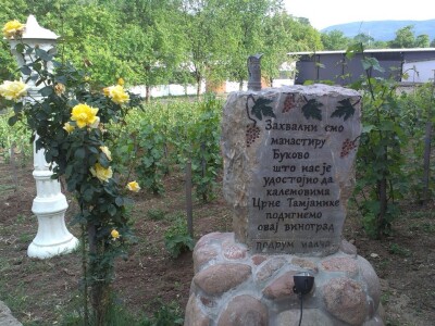 Podrum Malča kod Niša