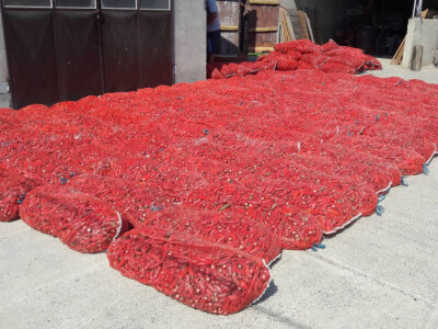 OPG Marić OPG Marić