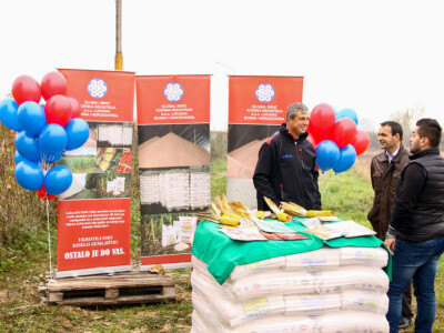 Testiranje đubriva KAN na oglednom polju kukuruza