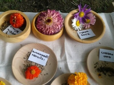 Sjeme cvijeca Sjeme cvijeca