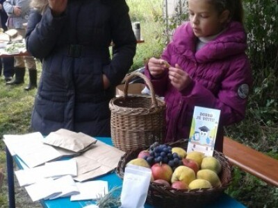 Mladi sudionici razmjene sjemena Mladi sudionici razmjene sjemena