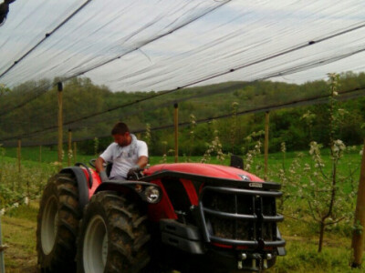 Antonio Cararro - traktori za brda i planine