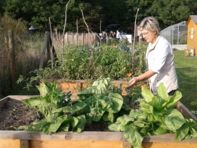 Jadranka Krmpotić, ravnateljica POU Obris Jadranka Krmpotić, ravnateljica POU Obris