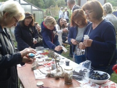 Zanimanje za stare sorte sjemena Zanimanje za stare sorte sjemena