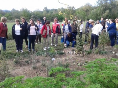 Razgledanje gredica ljekovitog biljata Razgledanje gredica ljekovitog biljata