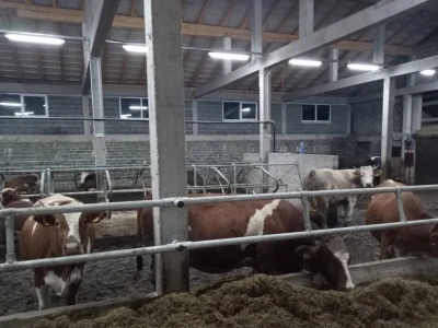 Obrt "Vujinović" na Vlašiću kod Travnika
