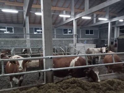 Obrt "Vujinović" na Vlašiću kod Travnika