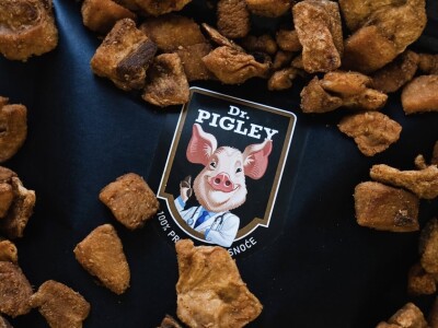 Sve o putu jednog čvarka