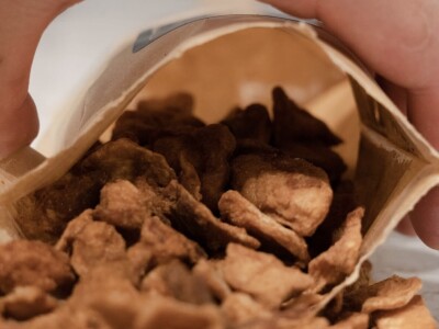 Sve o putu jednog čvarka