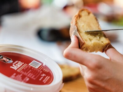 Sve o putu jednog čvarka