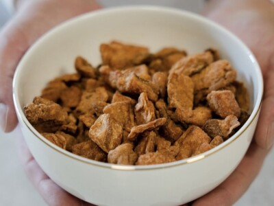 Sve o putu jednog čvarka