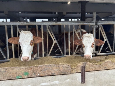 Nezaustavljiv rast Farme Euro, uskoro vrata otvara i sirana