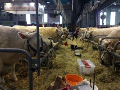 SIMA Pariz - POD Dežanovac