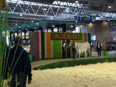 SIMA Pariz - POD Dežanovac