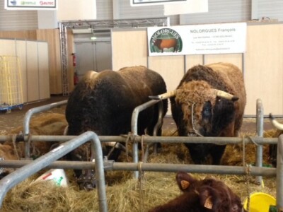 SIMA Pariz - POD Dežanovac