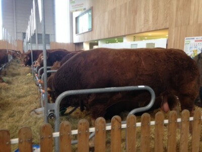 SIMA Pariz - POD Dežanovac