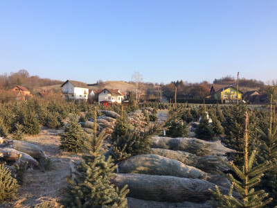 Imanje obitelji Imanje obitelji