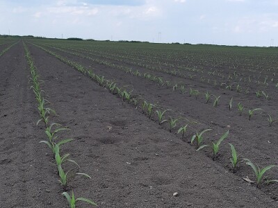 Väderstad - Tempo T6 sejalica