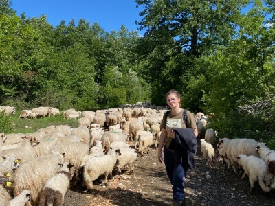 OPK Kučan Aleksinica