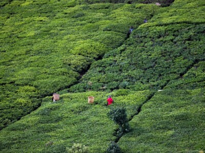 Agrarni novinari u Keniji