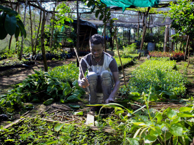 Agrarni novinari u Keniji