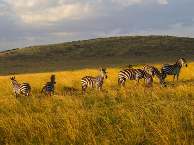 Agrarni novinari u Keniji