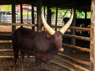 Agrarni novinari u Keniji