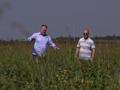 Voditelji poljoprivrednih emisija iza i ispred kamere