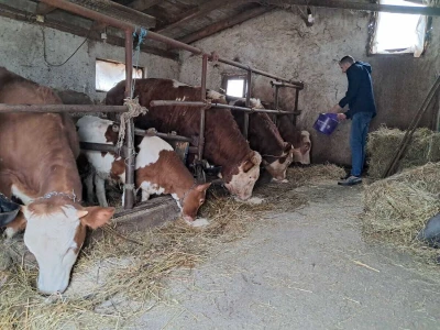 Imana Stefana Kresojevića iz Kostreša kod Dervente