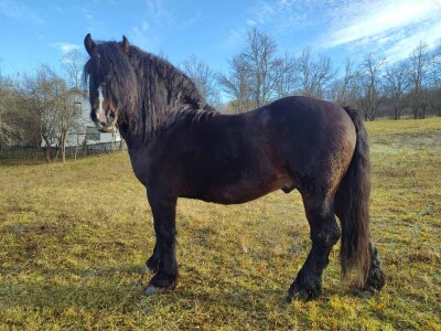 Imanje Sanje Svijić u Tesliću Imanje Sanje Svijić u Tesliću