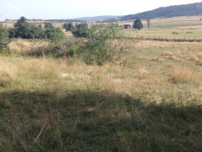 Imanje Snježane Marković u naselju Margetići na Sokocu