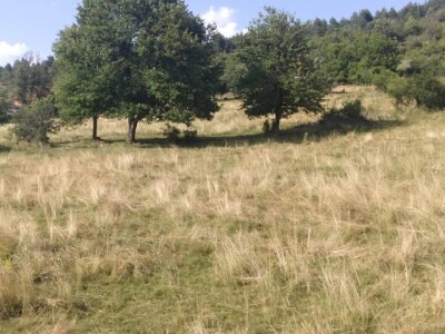 Imanje Snježane Marković u naselju Margetići na Sokocu