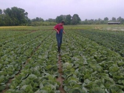 Imanje obitelj Blažeković