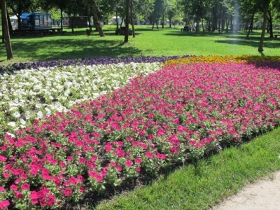 Floraart 2015 na Bundeku!