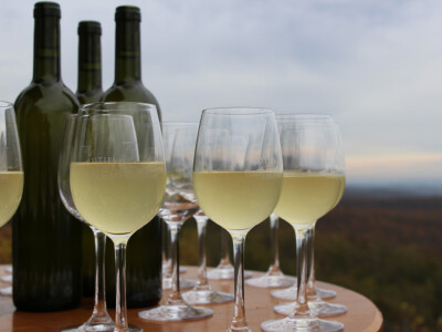 Mlada graševina Kutjevo Mlada graševina Kutjevo