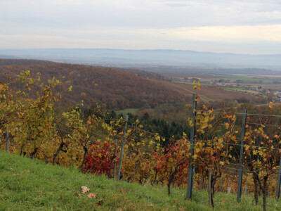 Pogled na Zlatnu dolinu Pogled na Zlatnu dolinu