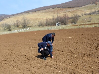 Proljetna sjetva u Konjicu