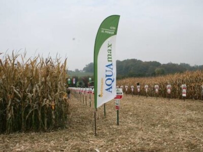 Pioneer dani polja kukuruza